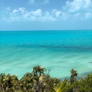 Meet your Posher, Jacey